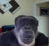 1617613918266