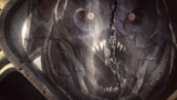 notcalus