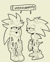FWA - Silver and Sonic dumb bitches