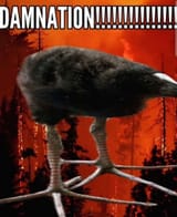 damnation