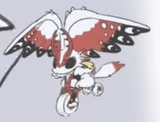 FAST chaos bike