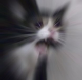 1724850712556392