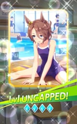 Screenshot_20250717_193206_Umamusume