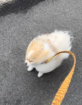 GwFBbkJWsAATuKq