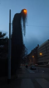 1689775521842487