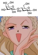 1736898195447736
