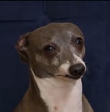 1683850533451973