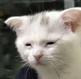 fuck2