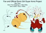 sonicsuperarmsproject__silver_the_hedgehog_designt_by_skyshek_d9g37u7