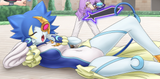 Sleep cat