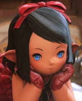 4619164016