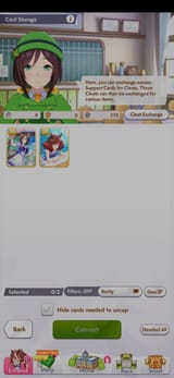 Screenshot_2025-07-18-05-29-27-308_com.cygames.umamusume