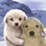 me and the bestie