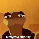 monkey