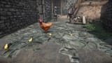 enb2025_5_27_09_17_58