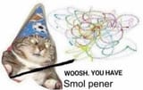 1739927419239851