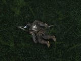 dying ingame and irl