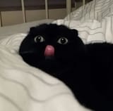 mooniederp