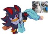 GwHndjwWkAAQe-T