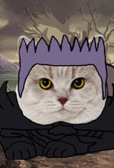cat regill