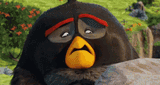 angry-birds-movie-covers-eyes