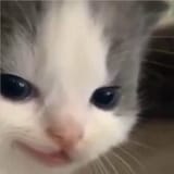 1641292115434