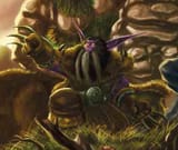 Druidoftheclaw