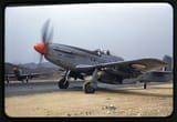 North_American_F-51_Mustang_Mk_IVa_SAAF_Korea_342-FH-4A39928-K90278