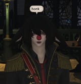 honk