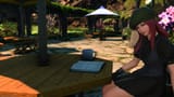 ffxiv_18072025_053339_350