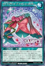 CelebBlouseDeathOneShoulder-RDKP22-JP-OP
