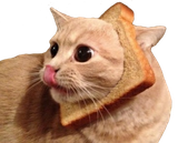 breadcat