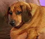 mfw