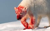 ptr0jvodtqsd1