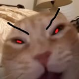 3413423