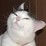 1734772306694995