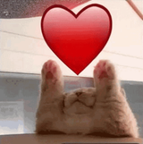 yay