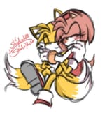 fox n hedgehog