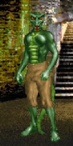 DF-pc-Argonian_(male)