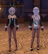 fie_bunny_suit