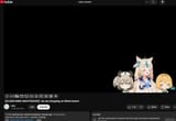 nightreign vtubers