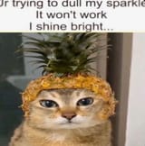 1729715713244936
