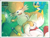 243