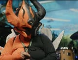beefquinox