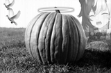 snowbreak_RIP pumpkin