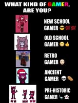 what kind of gamer are you
