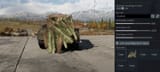palm