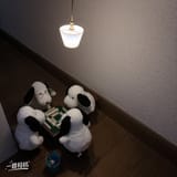 Gv0g7pWb0AAPOpP