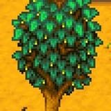 mapletree