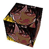 wakata